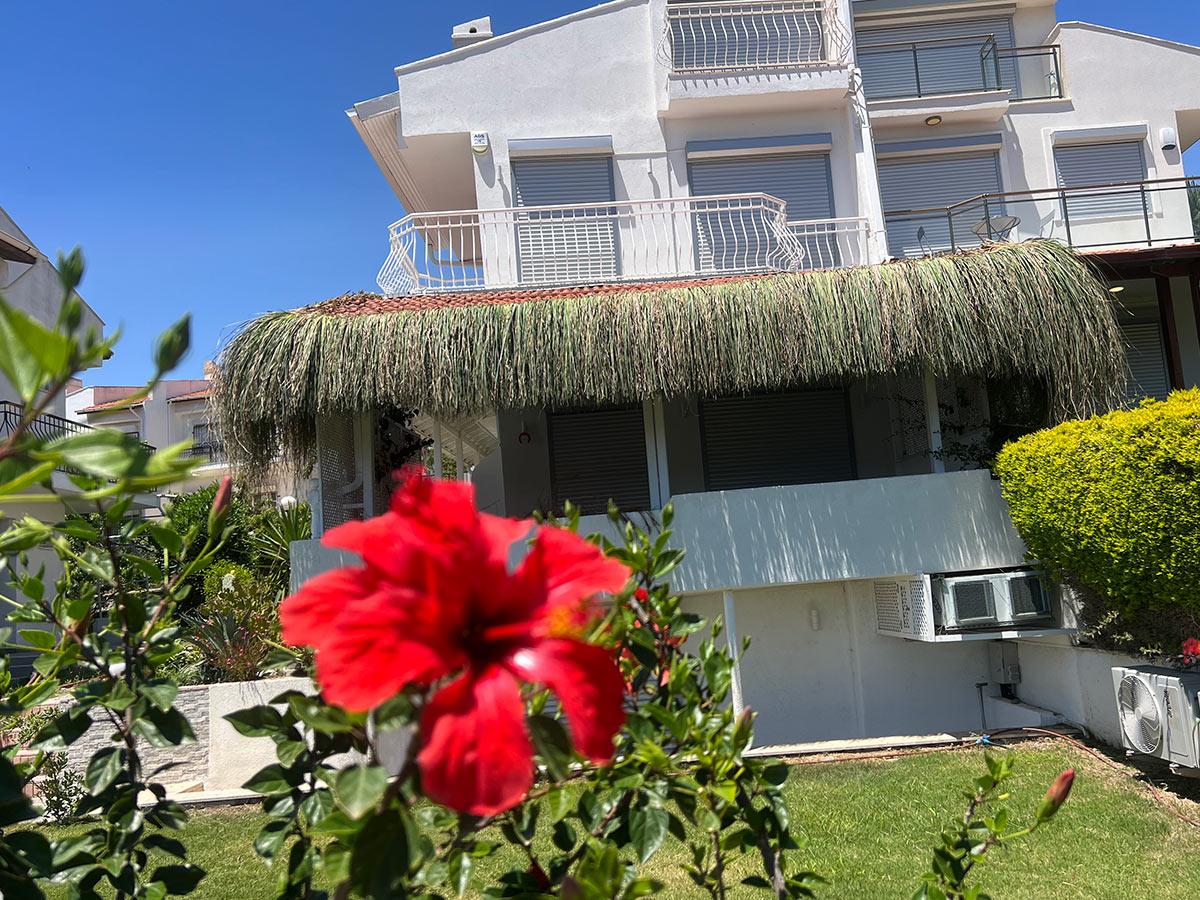 Dekorasyonda Tropikal Dokunuşlar: Kamış, Kargı ve Bambu Bir Arada